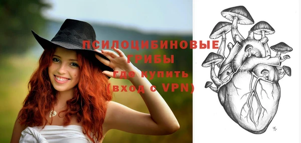индика Новокубанск