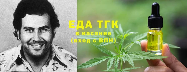 сатива Новодвинск