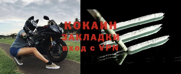индика Новокубанск