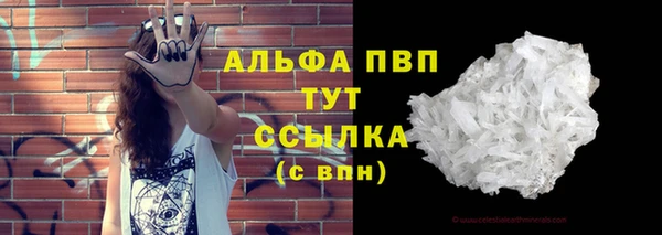 сатива Новодвинск