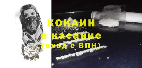 сатива Новодвинск