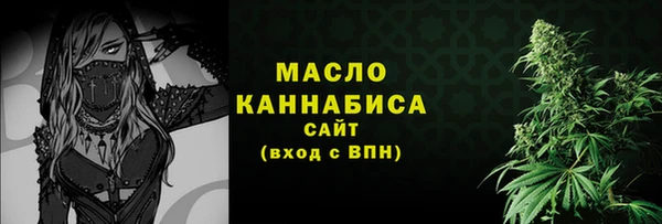 индика Новокубанск
