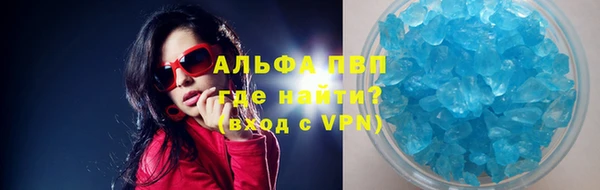 индика Новокубанск