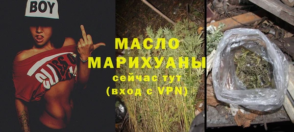 сатива Новодвинск