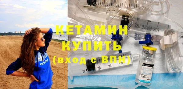 сатива Новодвинск