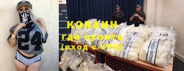 индика Новокубанск