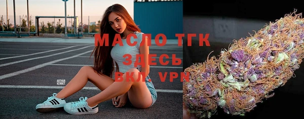 индика Новокубанск