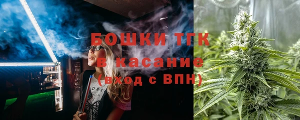 сатива Новодвинск