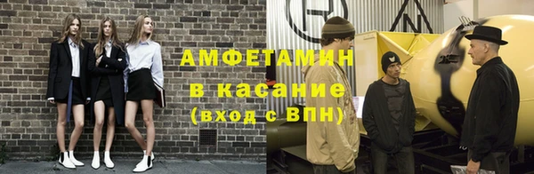 сатива Новодвинск