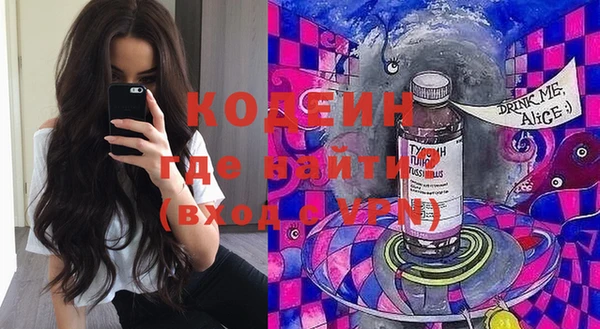 сатива Новодвинск