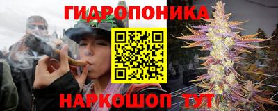 ПСИЛОЦИБИНОВЫЕ ГРИБЫ Абинск