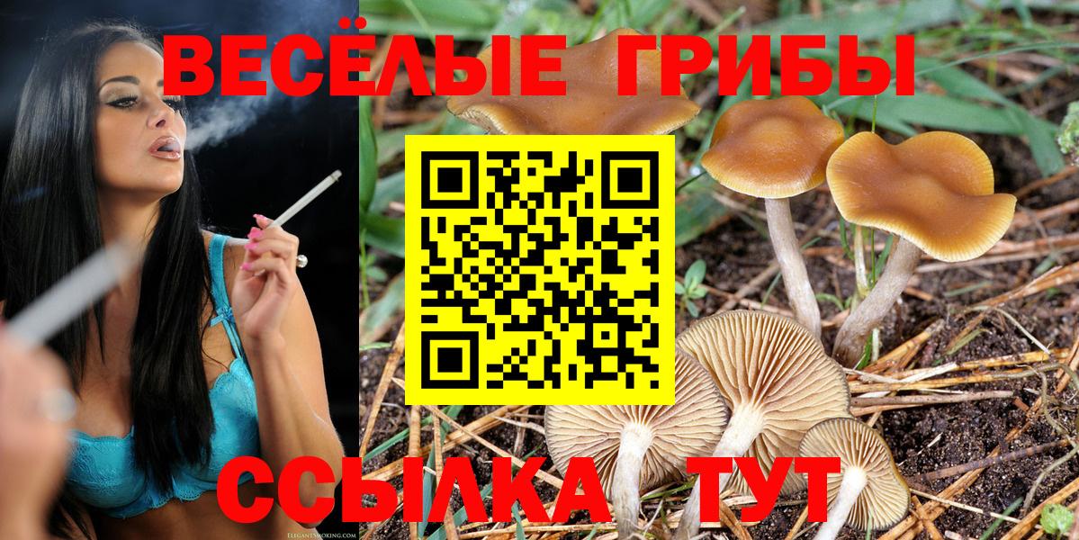 Псилоцибиновые грибы Psilocybine cubensis  Вход с VPN  купить закладку  Амурск 